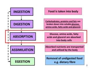 Gastrointestinal absorption | PPT