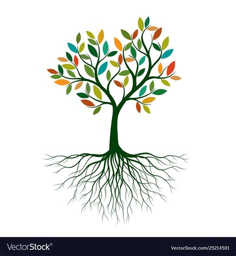 Color tree with roots Royalty Free Vector Image | Tree roots, Tree logo ...