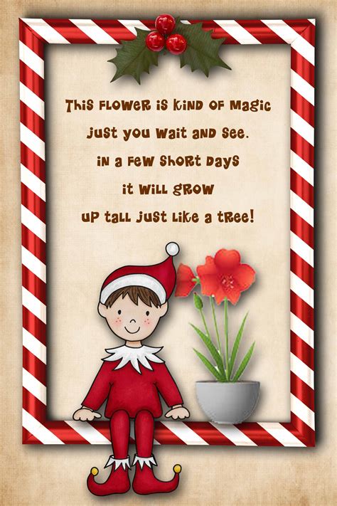 Free Elf on the Shelf poem to print--have your Elf bring an amaryllis!