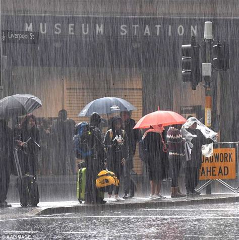 Torrential downpour in Sydney with month’s worth of rain and 125km/h winds | Daily Mail Online