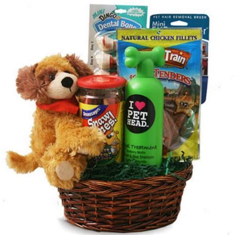 Dog And Owner Gift Baskets - New Product Review articles, Special deals ...