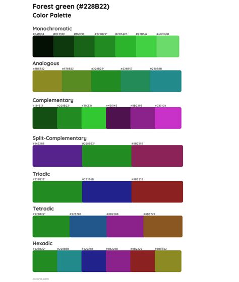 Forest green color palettes - colorxs.com