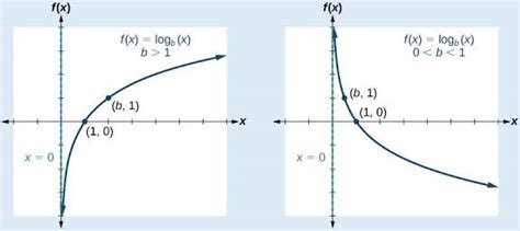 [Solved] Why are there two different types of graph for | 9to5Science