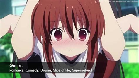 Anime English Dubbed Romance Comedy - Comedy Walls