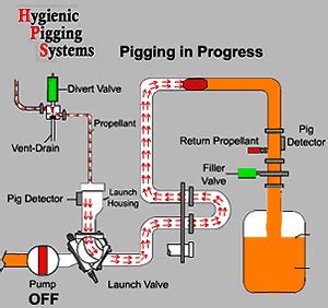 Hygienic Pigging System