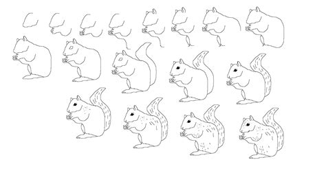 How To Draw A Squirrel Easy Step By Step at Drawing Tutorials