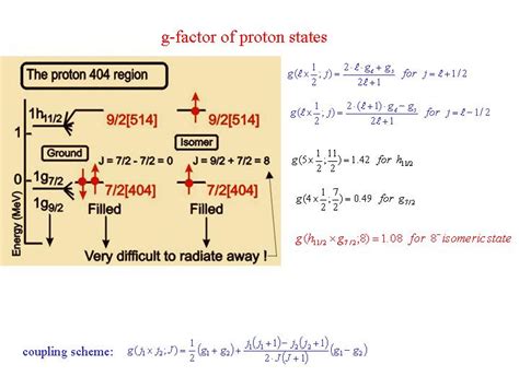 g-factor measurement(H.J. Wollersheim)