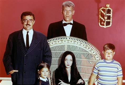 Wednesday Netflix: release date, cast, plot, Addams family | What to Watch