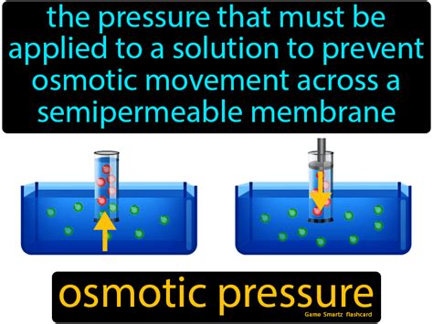 What is Osmotic Pressure - JanelleaxSchmitt