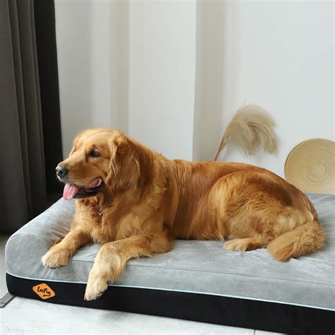 Extra-Large Double Pillow Orthopedic Dog Bed – Dog Quality