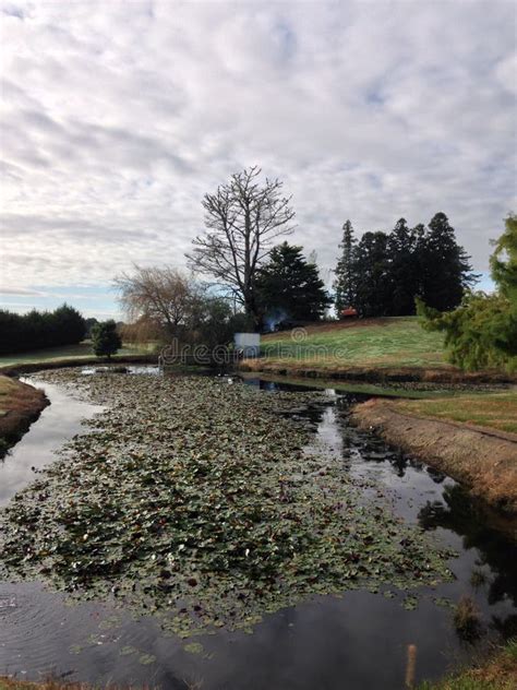 Pond with reflections stock photo. Image of canal, fall - 107942806