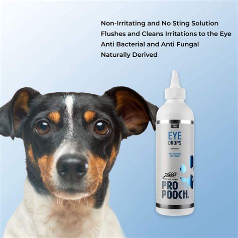 10 Must-Try Dog Eye Drops for a Bright-Eyed Pet: Reviews and Buying Guide - Furry Folly