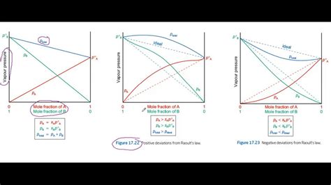 Deviations from Raoult's law - YouTube