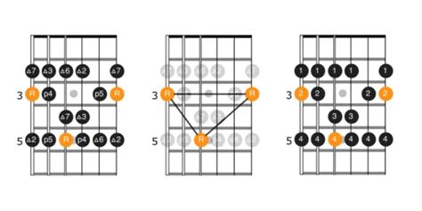 theory - Why does a guitar scale shape have more than 7 notes? - Music: Practice & Theory Stack ...