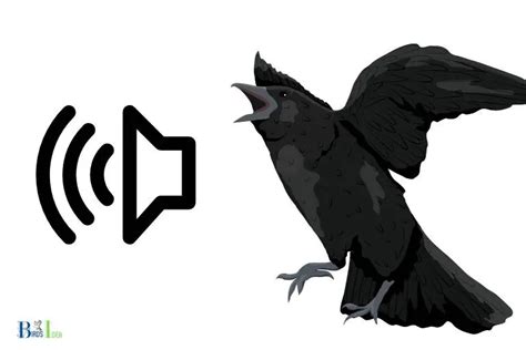 What Sound Does A Crow Make: Caw!