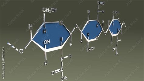 Chitin Structure Stock Illustration | Adobe Stock