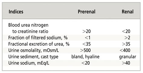 Acute Kidney Injury: New Concepts in Definition, Diagnosis ...