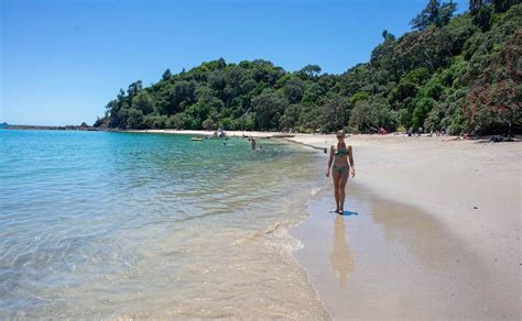 Best Beaches in New Zealand's North Island - A complete visitor's guide