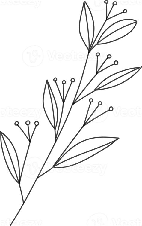 Leaf line art hand drawing, black line, transparent background ...