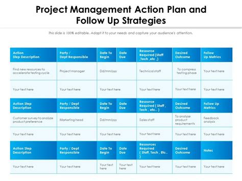 Project Management Action Plan And Follow Up Strategies | Presentation Graphics | Presentation ...