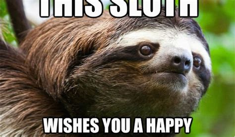 Sloth Happy Birthday Meme Happy Birthday Sloth Memes Quickmeme ...