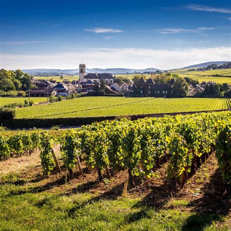 Burgundy Wine Driving Tour with Ultimate Drives