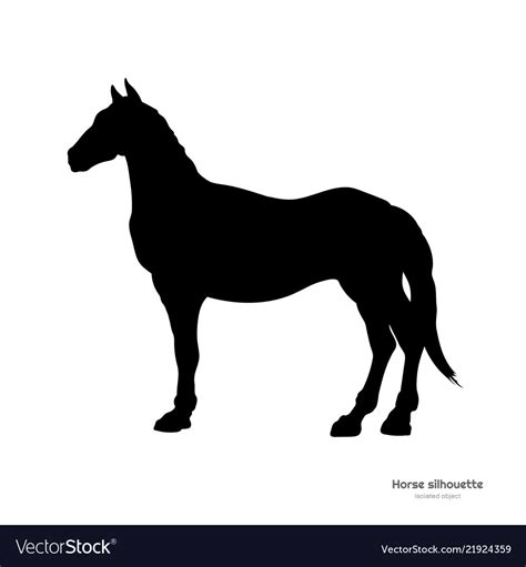 Black silhouette of horse isolated drawing Vector Image