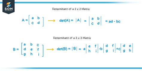 Determinant of a matrix - Explanation & Examples