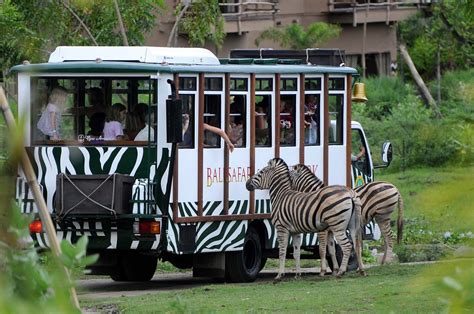 Bali Safari & Marine Park ~ TOSCA HOLIDAY