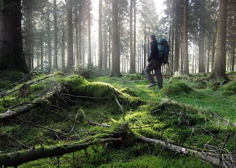 lightweight backpacking #dartmoor | Appalachian trail, Hiking trails, Bushcraft