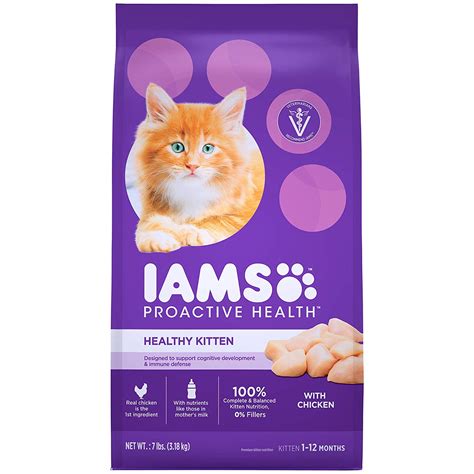 Best Dry Cat Food for Your Kitten | iPetCompanion