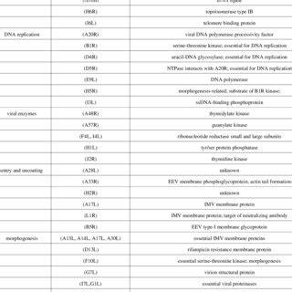 Inhibitors of the orthopoxvirus replication cycle. Virions enter the ...