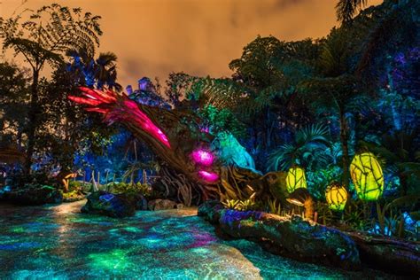 Disney Parks After Dark: Pandora – The World of Avatar Comes To Life At ...