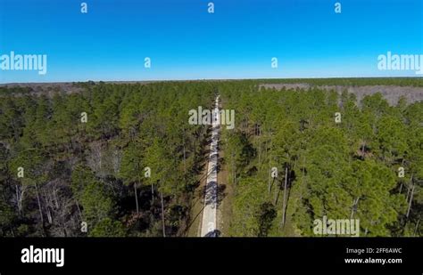 Cedar key wildlife refuge Stock Videos & Footage - HD and 4K Video ...