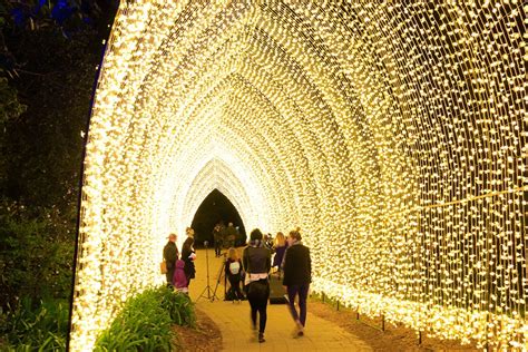 Floriade NightFest kicks off in Canberra, with 100,000 lights ...