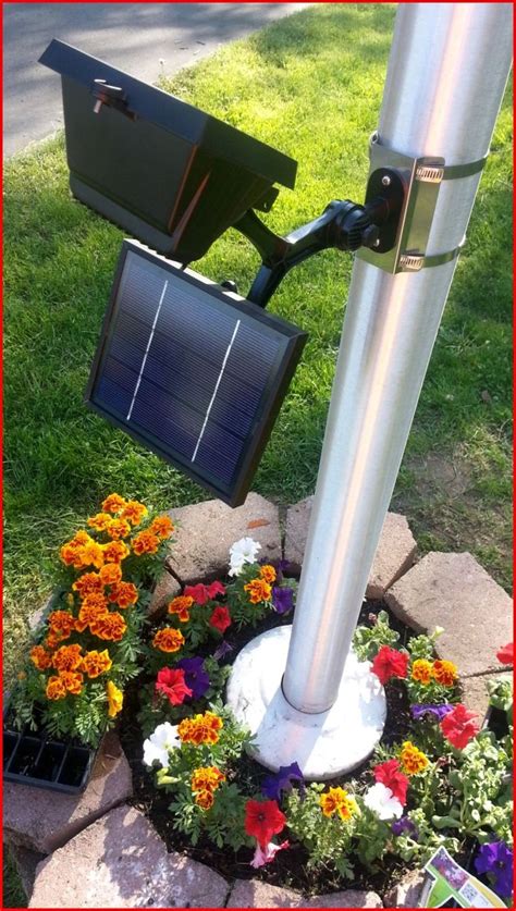 DIY Solar Electric | Flagpole lighting, Flag pole landscaping, Solar lights