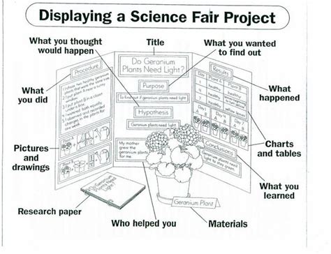 14 best Science Fair Boards images on Pinterest | Experiment, Science ...