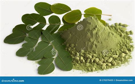 Moringa Herb, Tea Powder Generative AI Stock Illustration - Illustration of yellow, produce ...