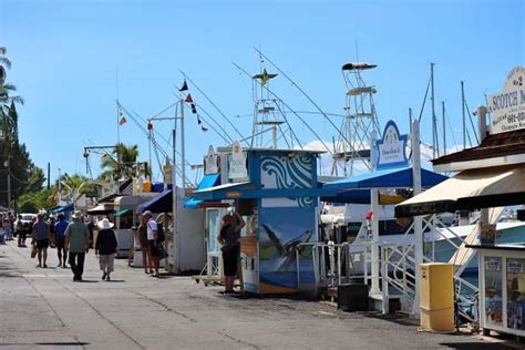 10+ Lahaina Yacht Harbor Photos Stock Photos, Pictures & Royalty-Free ...