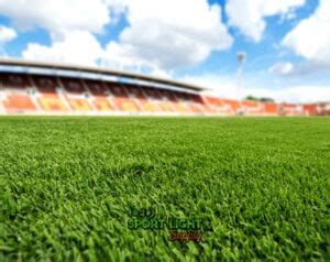 Do Stadiums have Real Grass or Artificial Turf? - Sport Light Supply