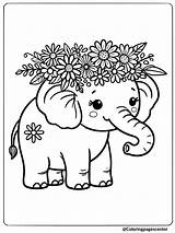 10 Free Printable Baby Elephant Coloring Pages sketch template