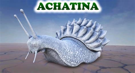 Ark Achatina - Ark Survival Evolved