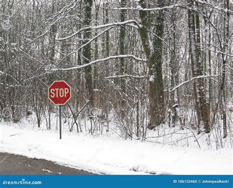 Stop Sign in Snow Covered Layby Stock Photo - Image of shrub, tree ...