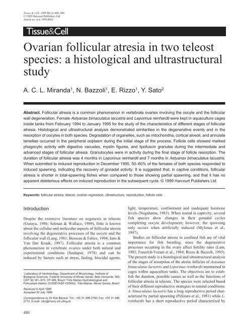 Ovarian follicular atresia in two teleost species - Peixes e Pesca no ...