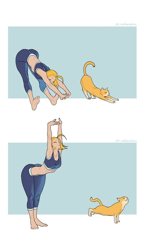 Cammy learned how to stretch with her cat. | Cammy Stretch | Know Your Meme