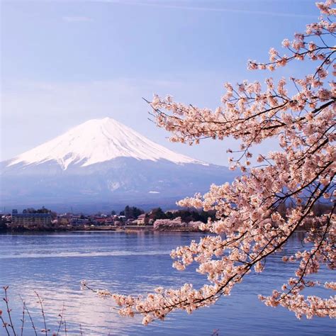 Fuji Kawaguchiko Onsen - Relax in Hot Spring Baths with Views of Mount Fuji