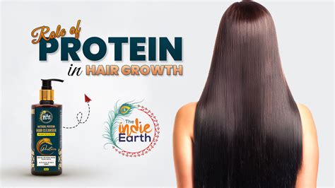 Role of Protein in Hair Growth – The Indie Earth