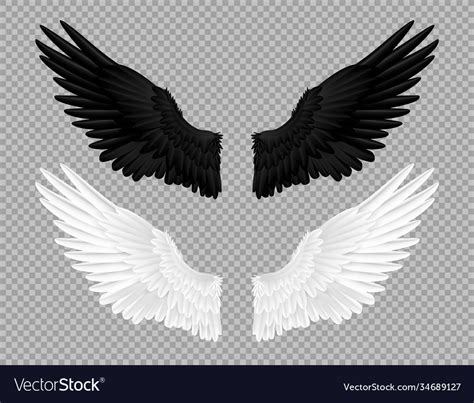 Black and white angel wings swans crows Royalty Free Vector