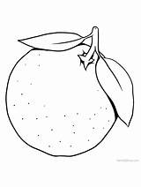 Free Orange Clipart Coloring Page  MemphisropCurtis sketch template