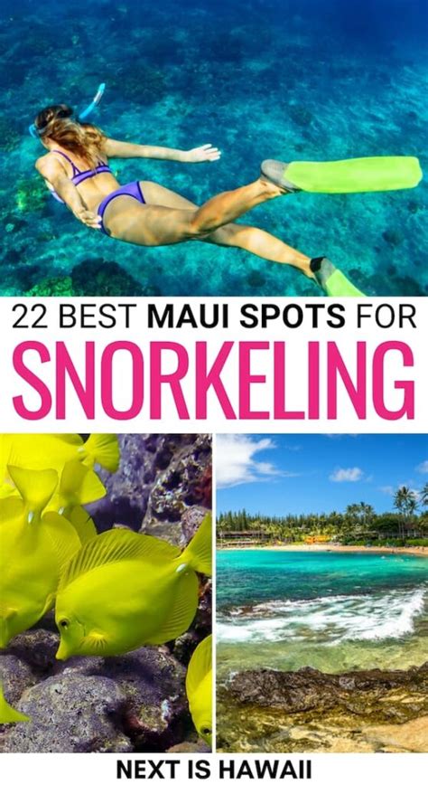 Best Snorkeling in Maui: 23 Beautiful Beaches, Coves, & More